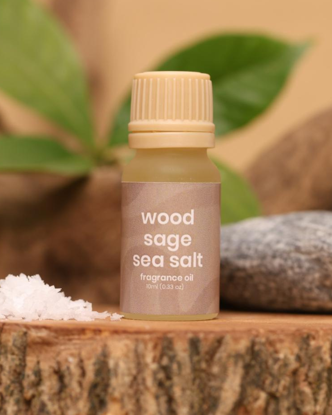 Woody Series Diffuser Oil Gift Set  (Set Of 4x 10ml)