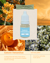 Scent Discovery Set: Sunrise Ritual