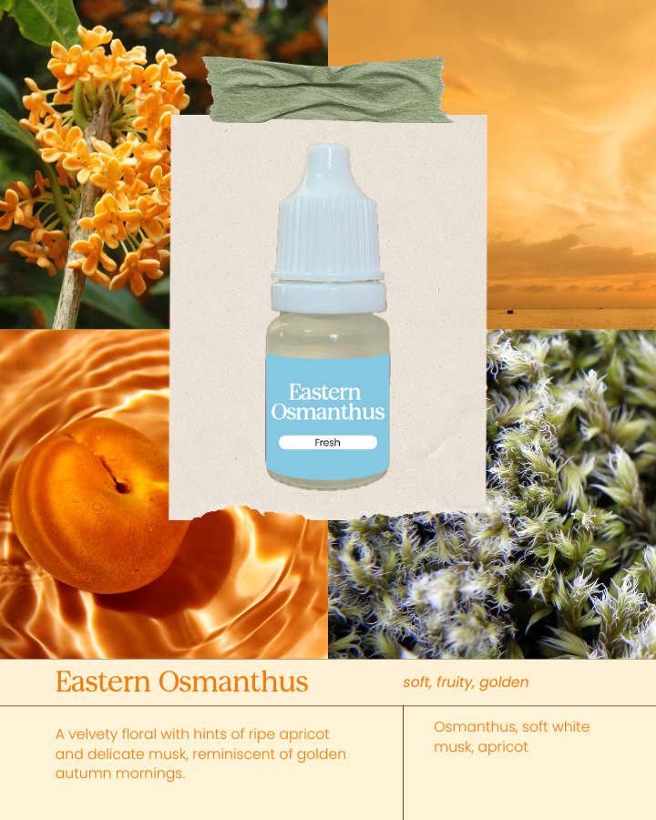 Scent Discovery Set: Sunrise Ritual