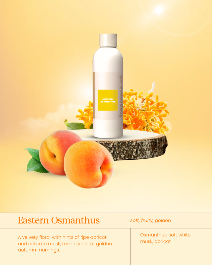 Eastern_Osmanthus.png